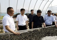 王树平、姜长龙到白石山和红石林业公司 调研强调深入落实“双主业”发展战略 大力推动集团持续健康高质量发展
